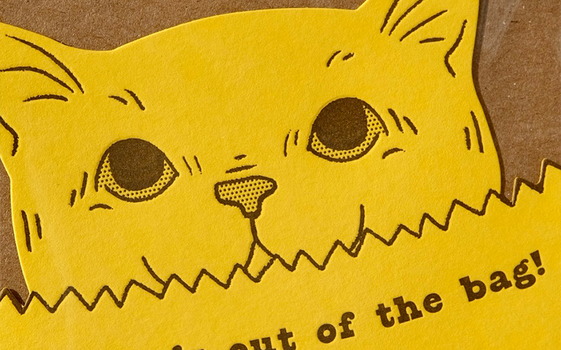 Cat's Out of the Bag detail image